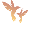 Hôtel Les Colibris